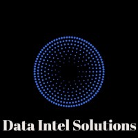 Data Intel Solutions