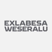 WESERALU GmbH & Co. KG logo - Similar company to Sgw-Metering