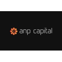 ANP Capital logo - Similar company to Helion Technologies
