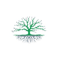Ana Ferreira Consultoria logo - Similar company to Baixa Pace