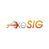 AxeSIG logo - Similar company to Hvs System