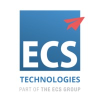 ECS Technologies | Setting the Standard logo - Similar company to Ecs Automotive | Setting The Standard