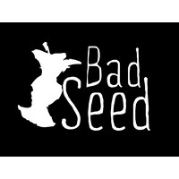 Bad Seed Cider Company