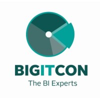 Bigitcon Ltd logo - Similar company to Oradata Consultoria & Treinamentos