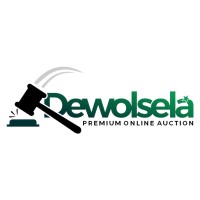 Dewolsela logo - Similar company to Notchcrm