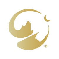 Simersiva logo - Similar company to Mowig