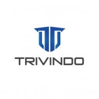 Trivindo Group logo - Similar company to Pt Armetalindo