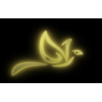 Infini SoftWorld logo - Similar company to Decipial© Foundation