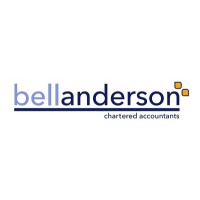 Bell Anderson Ltd logo - Similar company to Dvg Strength In Numbers