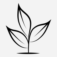 Thüringer Consult logo - Similar company to Ppmb Prozess- Und Projekt-Management Beratung Dr. Schmidt Gmbh