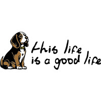 This life is a good life logo - Similar company to Halloid
