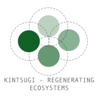 Kintsugi - Regenerating Ecosystems logo - Similar company to Youth For Development And Sustainable Goals - Ydsg