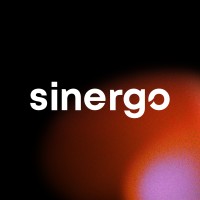 Sinergo Data logo - Similar company to The Adgency