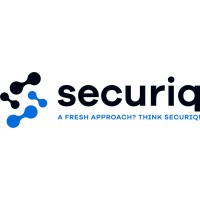 securiq logo - Similar company to Constellus