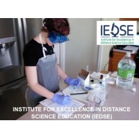 Institute for Excellence in Distance Science Education (IEDSE) logo - Similar company to Think Factory W/ Miami-Dade Police Department D.A.R.E Program