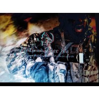 The Platinum Boss Group