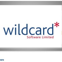 Wildcard Software logo - Similar company to Dv4