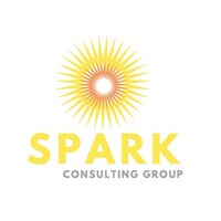 Spark Consulting Group logo - Similar company to Spark Ips