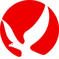 OLIGGDA logo - Similar company to Digital Express
