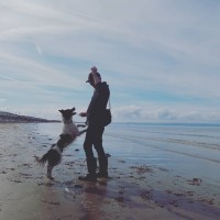 PDTPRO LIMITED logo - Similar company to Side Hustle Local