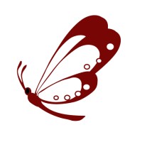 Dragonfly Learning logo - Similar company to Campus Outreach Services