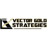VECTOR  GOLD STRATEGIES logo - Similar company to Science & Technology