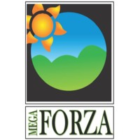 Mega Forza S.A. logo - Similar company to Colcanastas Sas