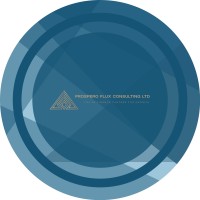 Prospero Flux Consulting logo - Similar company to Intouch Bookkeeping
