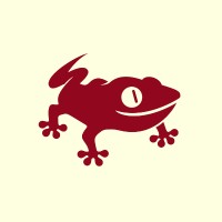 Red Gecko logo - Similar company to R11 Design