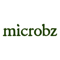 microbz logo - Similar company to Chardongay