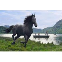 Lloyds Banking Group Pensions Trustees Limited