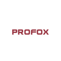 Profox Sistemas logo - Similar company to E-24 Mobility Lab
