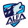 ALFA ROBOTICS logo - Similar company to E-Halı Servisi