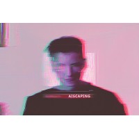 AIScaping logo - Similar company to Datoscout