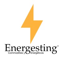 Energesting. Commodities y Energéticos. logo - Similar company to Digasse Hidrocarburos