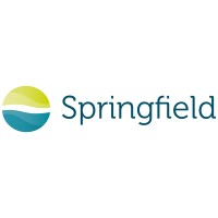 Springfield Nutraceuticals BV logo - Similar company to Dgpannda Exim