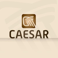 Caesar Consultoria E Transformações