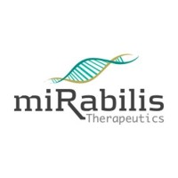 Mirabilis Therapeutics Bv
