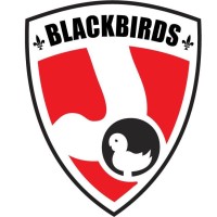 Hockey Club Blackbirds Zandhoven logo - Similar company to Ganō