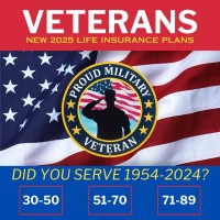Veteran Life logo - Similar company to Veteranlife