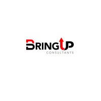 BringUp Empowering Organizations to Reach New Heights logo - Similar company to Bringup