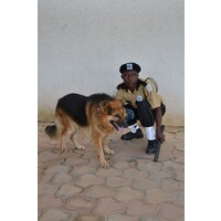 Marine Security Services Limited logo - Similar company to Msi Hellas