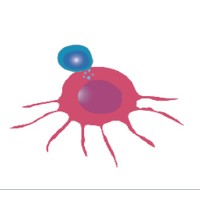 Cancer IO logo - Similar company to Fimm High Throughput Biomedicine Unit (Htb), University Of Helsinki