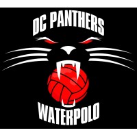 DC Panthers Water Polo logo - Similar company to Ntelx