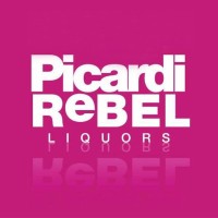 PicardiReBEL logo - Similar company to Datallusive (Pty) Ltd