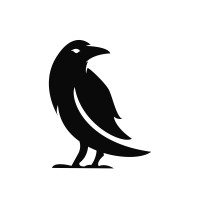 Raven Code Limited logo - Similar company to Databranding
