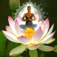 Health | Wellness | Fitness Zone logo - Similar company to Mymemorymentor