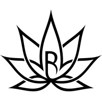 Risen Labs logo - Similar company to Risenlabs
