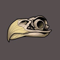 Eagle Bones Media logo - Similar company to Xcell Fund