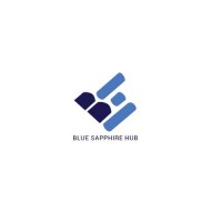 Blue Sapphire Hub logo - Similar company to Startup Kano Center For Innovation Development